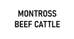 Montross Beef Cattle