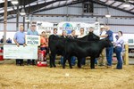 Reserve Cow Calf 2023